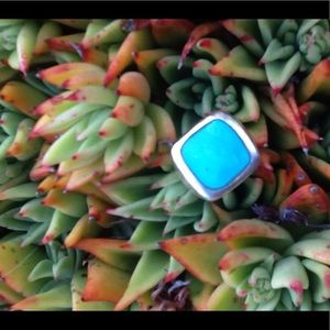 Turquoise tone ring
